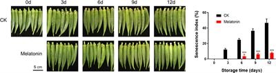 Melatonin delayed senescence by modulating the contents of plant signalling molecules in postharvest okras